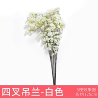 Один -барбарянский белый подвешенная орхидея 1 ветвь