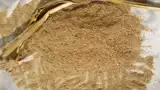 Порошок кукурузы экспериментальный порошок чистый натуральный рис рисовый порошок порошок ферма Ферма солома солома