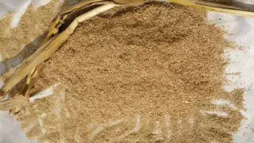 Порошок кукурузы экспериментальный порошок чистый натуральный рис рисовый порошок порошок ферма Ферма солома солома