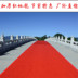 Lễ khai mạc Lễ cưới Triển lãm thương mại Một lần thảm đỏ sân khấu Chào mừng Red Red Green Blue White Carpet Thảm
