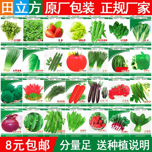 Семена овощных семян Зеленое лук Овощи, семена, салат, семена овощей, балкон с зелеными овощами, канатурный шпинат, Raycainer Four Seasons