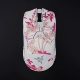 Sakura-Sakura xue+тот же задний яд V2 V2