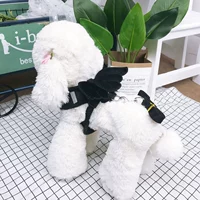 Черная сундук с черными крыльями