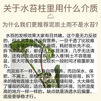 Периферийные продукты столба