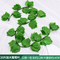 20 кусочков больших виноградных листьев 1 упаковка [12 штук]