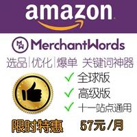 Merchantwords Magic Word Amazon