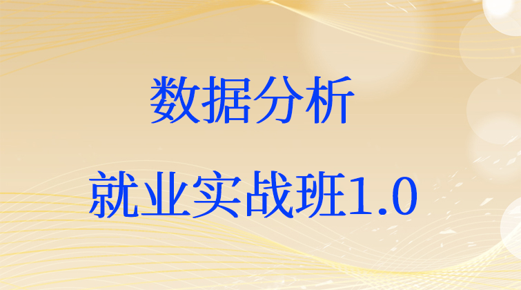 数据分析·就业实战班1.0