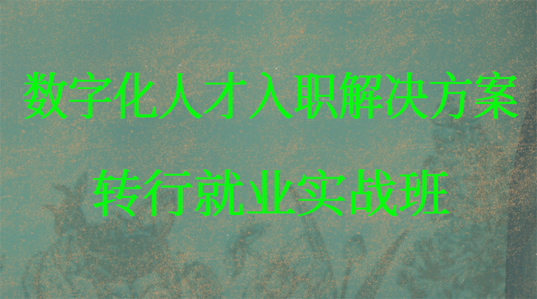 数字化人才入职解决方案·转行就业实战班