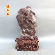 Bloodstone đá gốc đồ trang trí Changhua gà máu ngọc Qingtian đá màu ngọc bích ngọc tự nhiên đá trang trí tinh thể khoáng bộ sưu tập