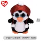 Серый [маленький] gal-red hat penguin (день рождения 12.17)