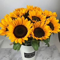 Подсолнух (10)