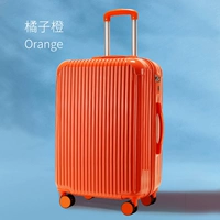 Коралловый апельсин