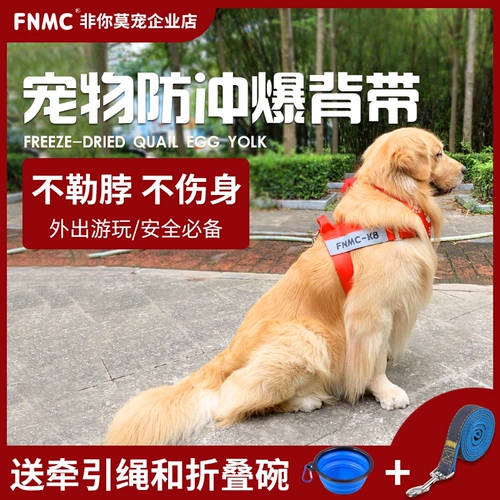 Ничто из того, что вы любите собачье тяговое веревочное веревка, антиэксплузивный ремешок средний большой собака золотисто -ретривер сатсума продукты