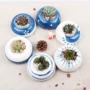 Hoa thịt nồi hoa bình hoa container retro gốm sứ màu xanh và trắng tròn miệng ngắn cọc nhỏ đơn giản Bắc Âu - Vase / Bồn hoa & Kệ giỏ hoa treo tường