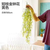 Желтый [Короткая ветвь Золотой колокол цветок]