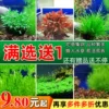 Товары от 千草堂水族