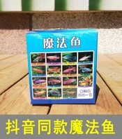 Xiaohai Dragon Pet Living Net Red Douyin Тот же модель Сяхай Дракон может вылупить волшебную почву магическую рыбу тропическая декоративная рыба