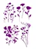 Handmade sáng tạo DIY vẽ tay thẻ công cụ làm hoa rỗng hoa dại cỏ hoa mẫu đơn hoa bóng râm 118 búp bê búp bê Handmade / Creative DIY