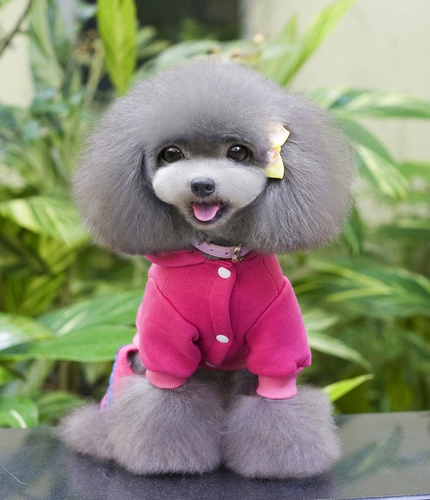 Pet New Dog Clothing Teddy Bargain Puppy осень и зимняя четырехлетняя спортивная одежда для спортивной одежды с четырьмя грудными хлопковыми свитерами.