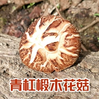 Грибные сухой товары 250 г выбор бейлум грибы свежие сушеные шиитаке грибы Большие грибы маленькие грибы грудастые грибы бюст