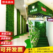 Mô phỏng nhà máy tường cây xanh tường cỏ trong nhà trang trí tường cỏ xanh nhựa giả hoa hình nền tường - Hoa nhân tạo / Cây / Trái cây