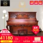 Willibald Willy Baldur Hoàng đế UP-133 Người lớn mới bắt đầu chơi piano chuyên nghiệp - dương cầm piano casio