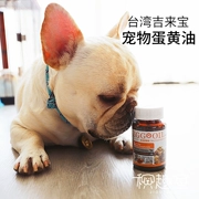 Đài loan Jilaibao pet trứng bơ lecithin cat dog chăm sóc sức khỏe dog tóc vẻ đẹp chăm sóc da sạch mạch máu 60 viên nang