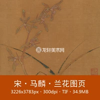 Ma Lin Orchid Map Page Song Pring