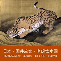 Guojing yingwen Тигр питьевая вода картинка три складных экрана Японская мейдзи Таймс Знаменитая живопись Rapto Tiger Электронный картинный материал