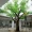 Tùy chỉnh giả lớn cây bạch đàn trong nhà đào hoa cổ thụ cây xanh trồng cửa xi măng trang trí sân vườn khách sạn - Hoa nhân tạo / Cây / Trái cây cây hoa giả để phòng khách
