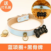 Blue+Black Blue Black Collaboration+Black Bone Brand