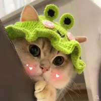 Модель лягушки Лугара -S (1-5 Catties))