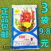 Đích thực Violet Aloes Bột 50 gam Túi Kiểm Soát Dầu Hoàn Thiện Bột Kem Che Khuyết Điểm Bột Bột 3 Túi phấn phủ shu uemura