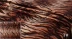 In động vật ngắn sang trọng vải mô hình hổ mô hình da báo ngựa vằn bò mô hình vải sân khấu man rợ trang phục một mét miễn phí vận chuyển Vải vải tự làm