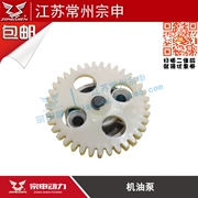 Zongshen nguyên bản xe máy ba bánh CG125 150 200 250 lắp ráp bơm dầu 35 37 39 bánh - Xe máy Gears