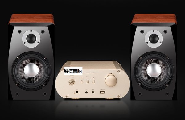 Два канал сочетание звук без потерь Подключить u синий Зубное волокно коаксиальный лихорадка Класс Hifi Gall электромеханический Суб -тубе усилитель