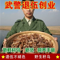Squid Dry Wuzi Big Wuda Whaya Sea Rabbit высушенные семена Wuxi рыба рыба морепродукты сухой