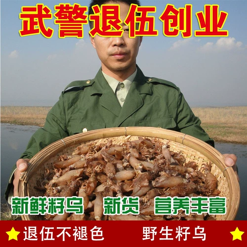 Squid Dry Wuzi Big Wuda Whaya Sea Rabbit высушенные семена Wuxi рыба рыба морепродукты сухой