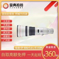 SLR ống kính camera cho thuê Canon EF 800 5.6 L IS USM Vàng Bird vật dòng máy ảnh chụp - Máy ảnh SLR lens đa dụng cho canon fullframe