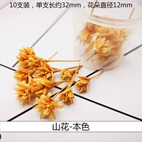 S Трехмерные сушеные цветы и горы (10 цветов)