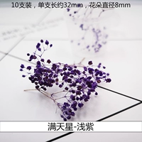 Трехмерные сушеные цветы по всему небу с светло-фиолетовым (1 коробка)