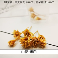 Трехмерный сушеный цветочный рис цветочной горы Белый (10 цветов)