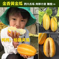 Jinxiang Золотая тыква арбуз сладкая тыква лапша дыня тыква тыква мумий канал Каприк Кривые Томатные Овощные Зеленые Семена семян семян