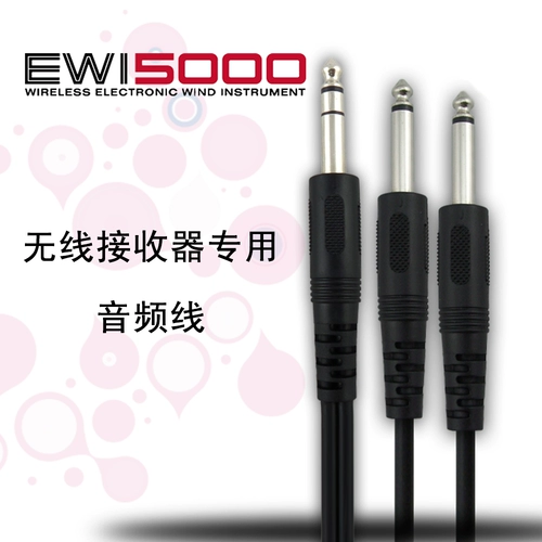 Спот подходит для яйя EWI5000 Беспроводные волосы приемник 2 одноразовый звук для тела звука