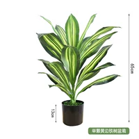 Одно желтый железное дерево горшок