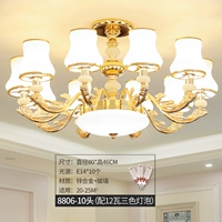 8806-10 Top Top Top Model