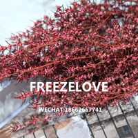 Freezelove Onemic красный Felijia Eternal Life Flower Flow