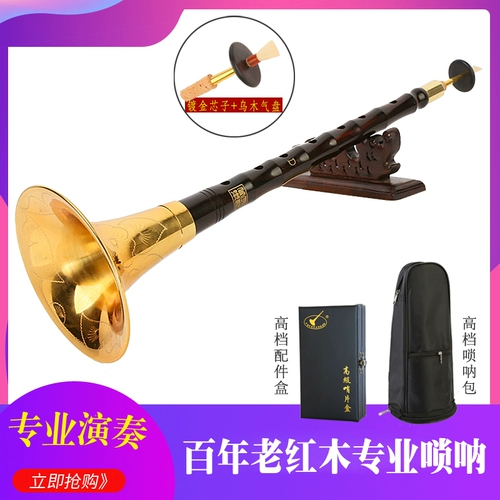 Профессиональные музыкальные инструменты, маленький мегафон, полный комплект