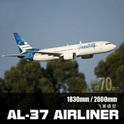 Freewing cánh bay AL37 2 động cơ điều khiển từ xa mô hình máy bay đôi 70mm máy bay mô hình điện ngầm