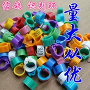 Pigeon cung cấp chân nhận dạng nhẫn nhẫn pigeon pigeon foot ring kỹ thuật số nhẫn nhẫn pigeon ring chân nhẫn nhựa nhận dạng vòng 18 - Chim & Chăm sóc chim Supplies